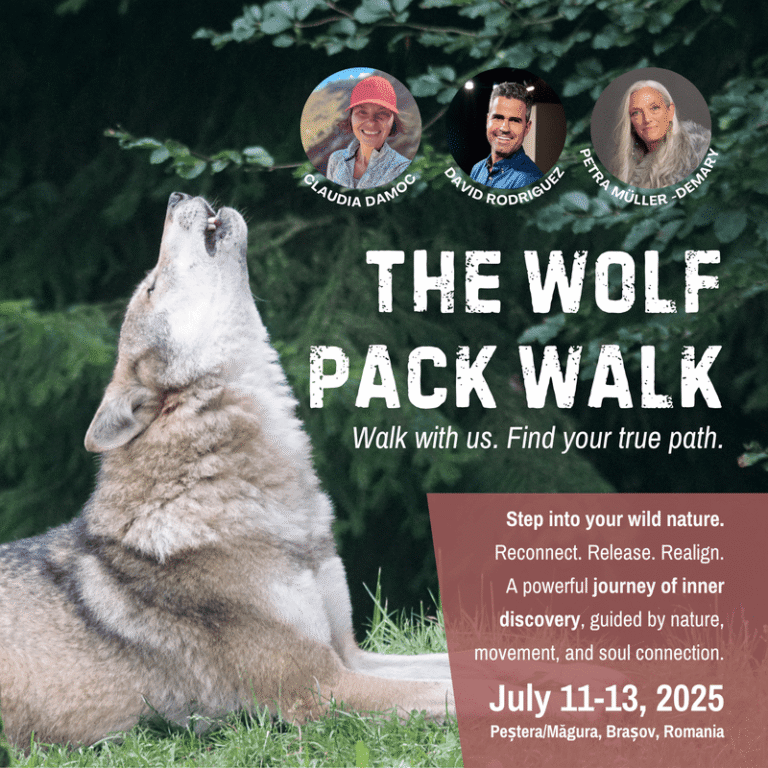 The Wolf Pack Walk, July 2025