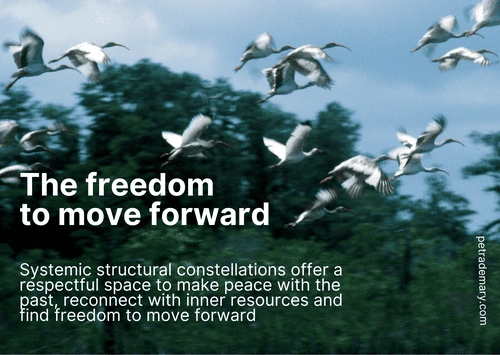 The Freedom to Move Forward